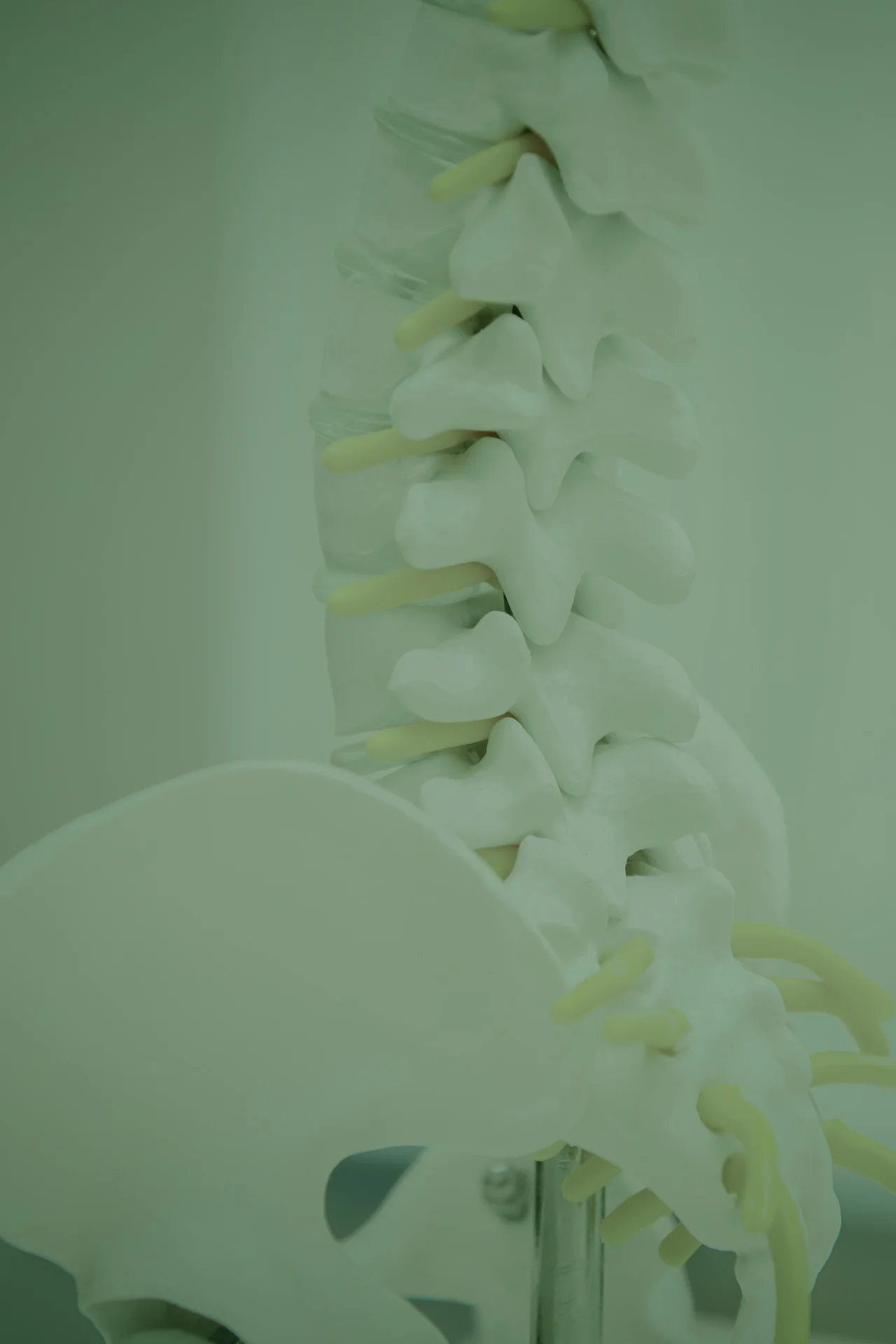 Joint Disorder | Conditions | iMsk & Spine Group | Long Island & Queens NY