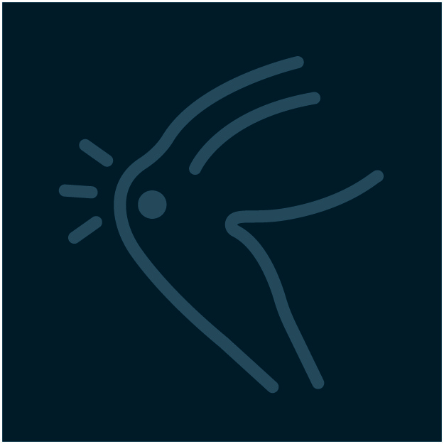 Joint Disorders Hicksville